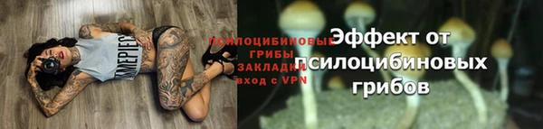 мдпв Осинники