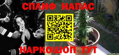 спиды Берёзовский