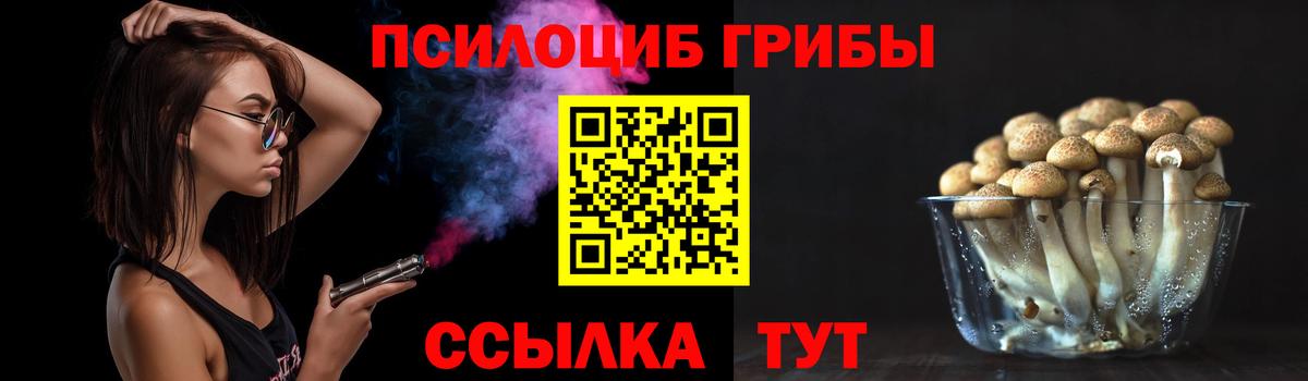 Псилоцибиновые грибы прущие грибы Верхняя Салда